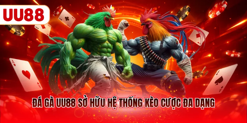 Đá gà UU88 sở hữu hệ thống kèo cược đa dạng