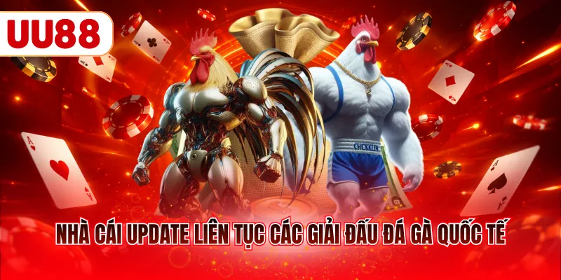 Nhà cái update liên tục các giải đấu đá gà quốc tế